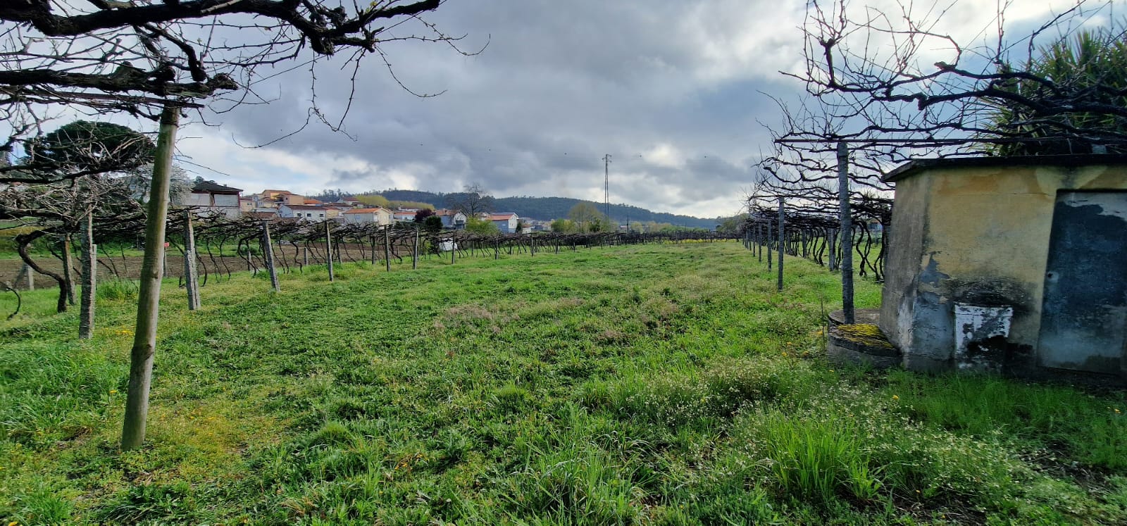 Casa Bifamiliar, Penafiel — imagem 15