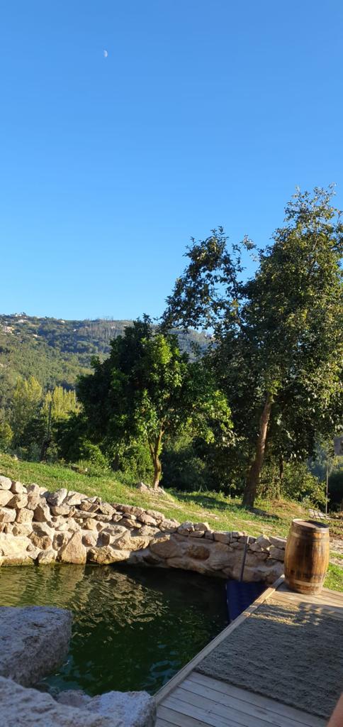 Quinta em São Pedro do Sul — imagem 3