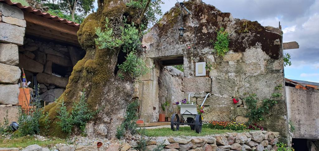 Quinta em São Pedro do Sul — imagem 7